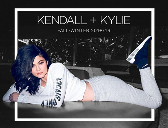Новая коллекция бренда селебрити: обувь Kendall Kylie FW 2018 / 19