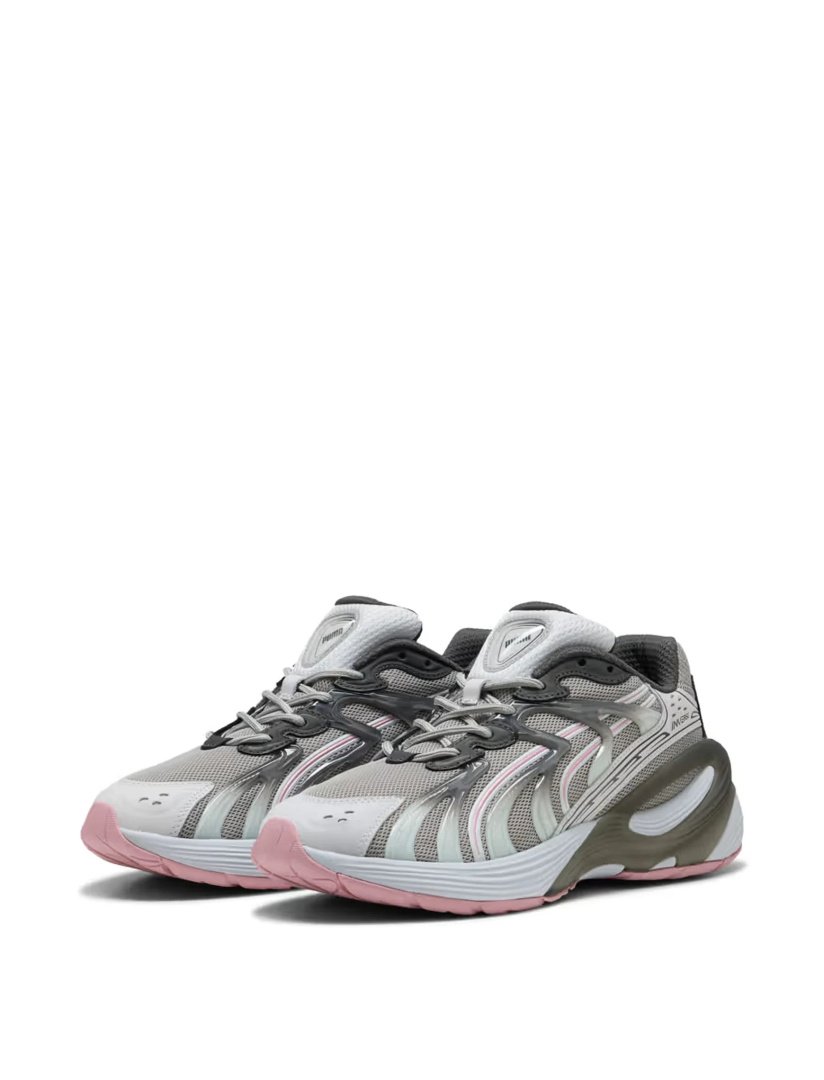 Puma_Female_001.jpg