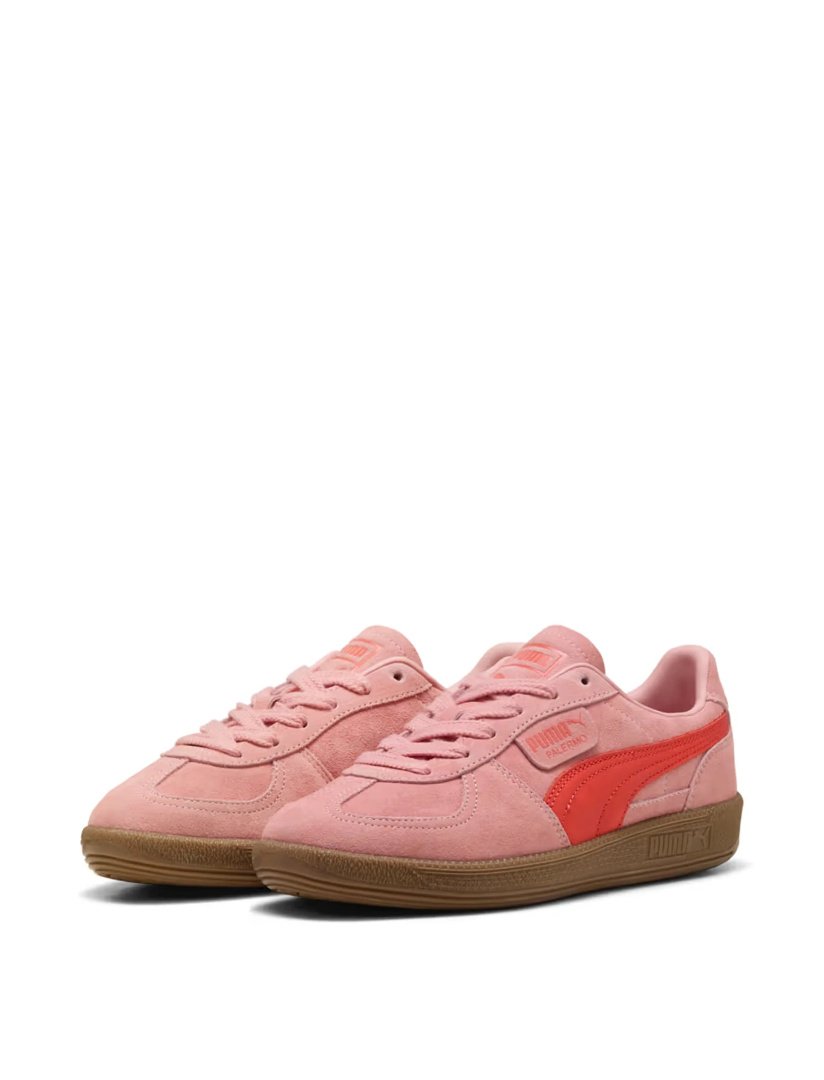 Puma_Female_002.jpg