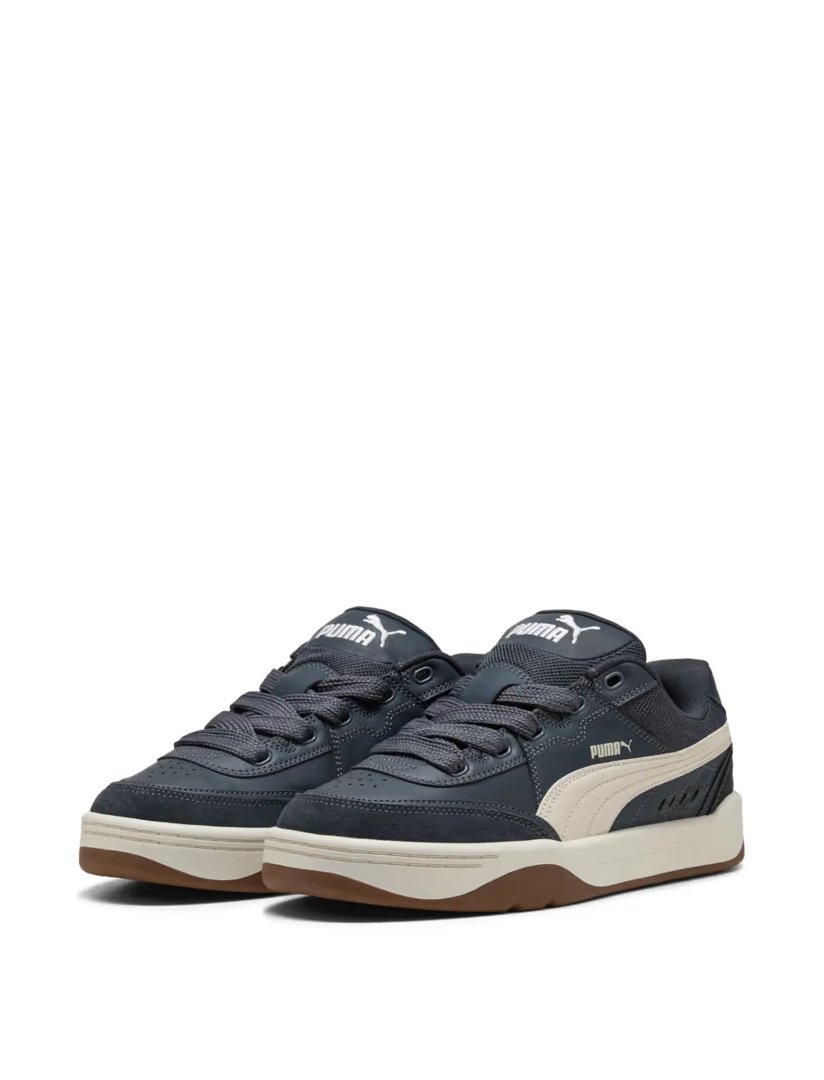 Puma_Male_001.jpg