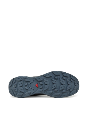 Мужские кроссовки Salomon Elixir Tour тканевые синие - фото 5 - Miraton