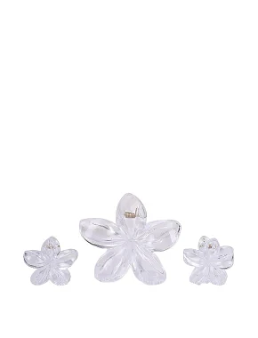 Набор из 3-х заколок прозрачные - фото 1 - Miraton