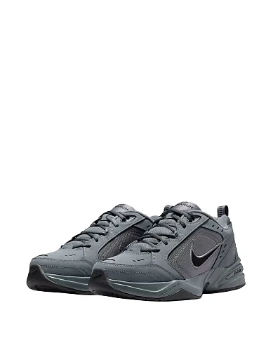 Кросівки Nike (415445-020) - фото 3 - Miraton